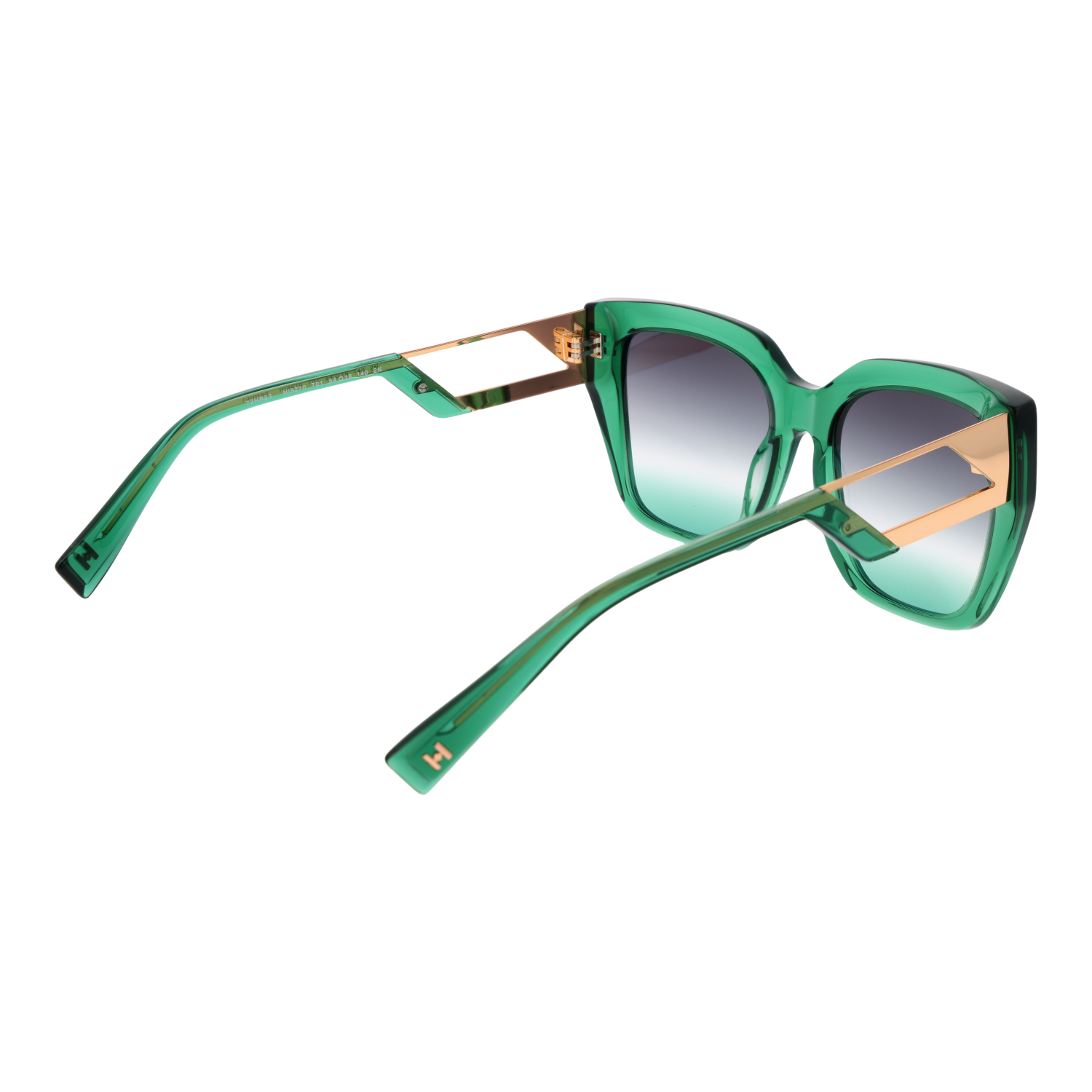 Ana Hickmann HI9210 54T01 rear view – Acetate frame