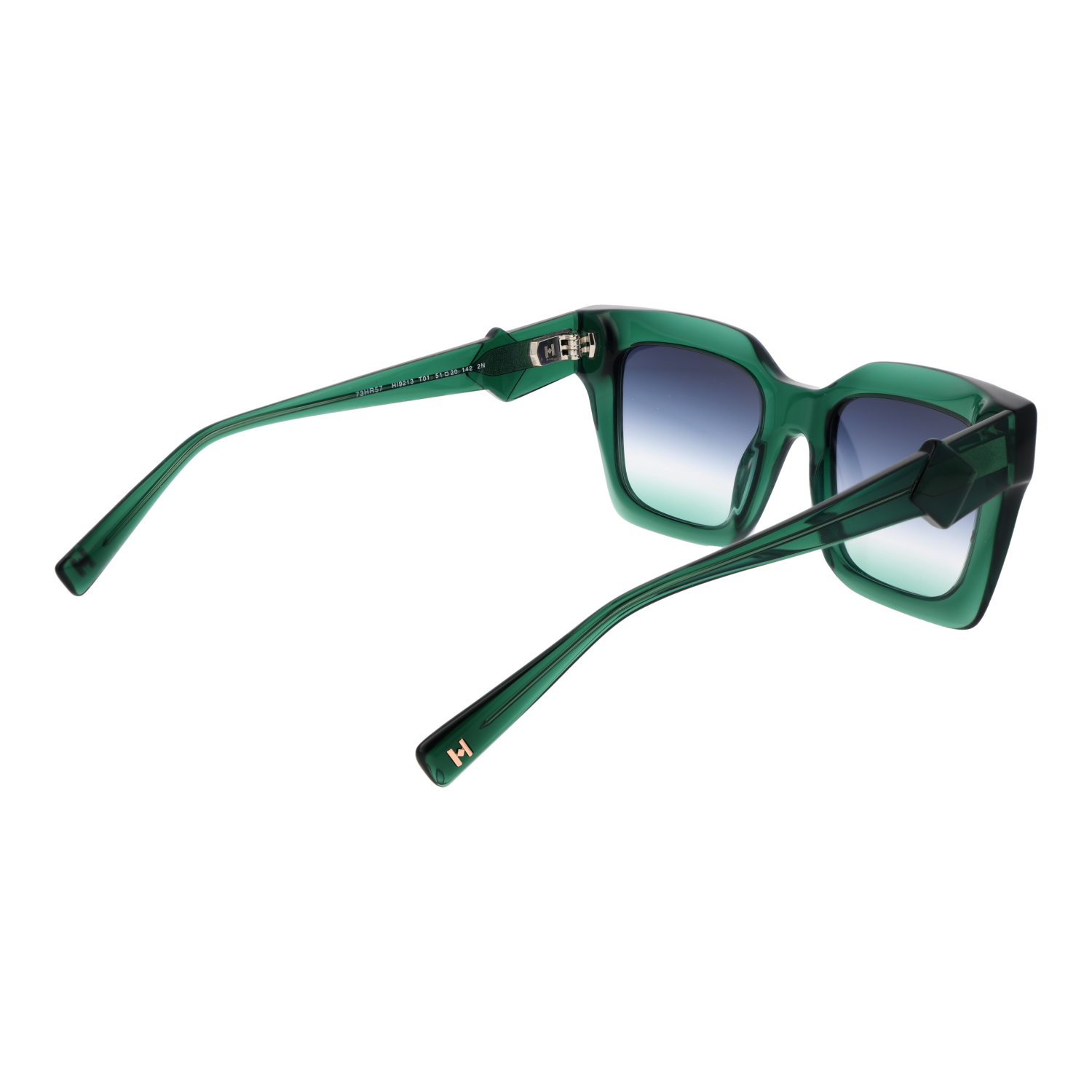 Ana Hickmann HI9213 51T01 rear view – Acetate frame
