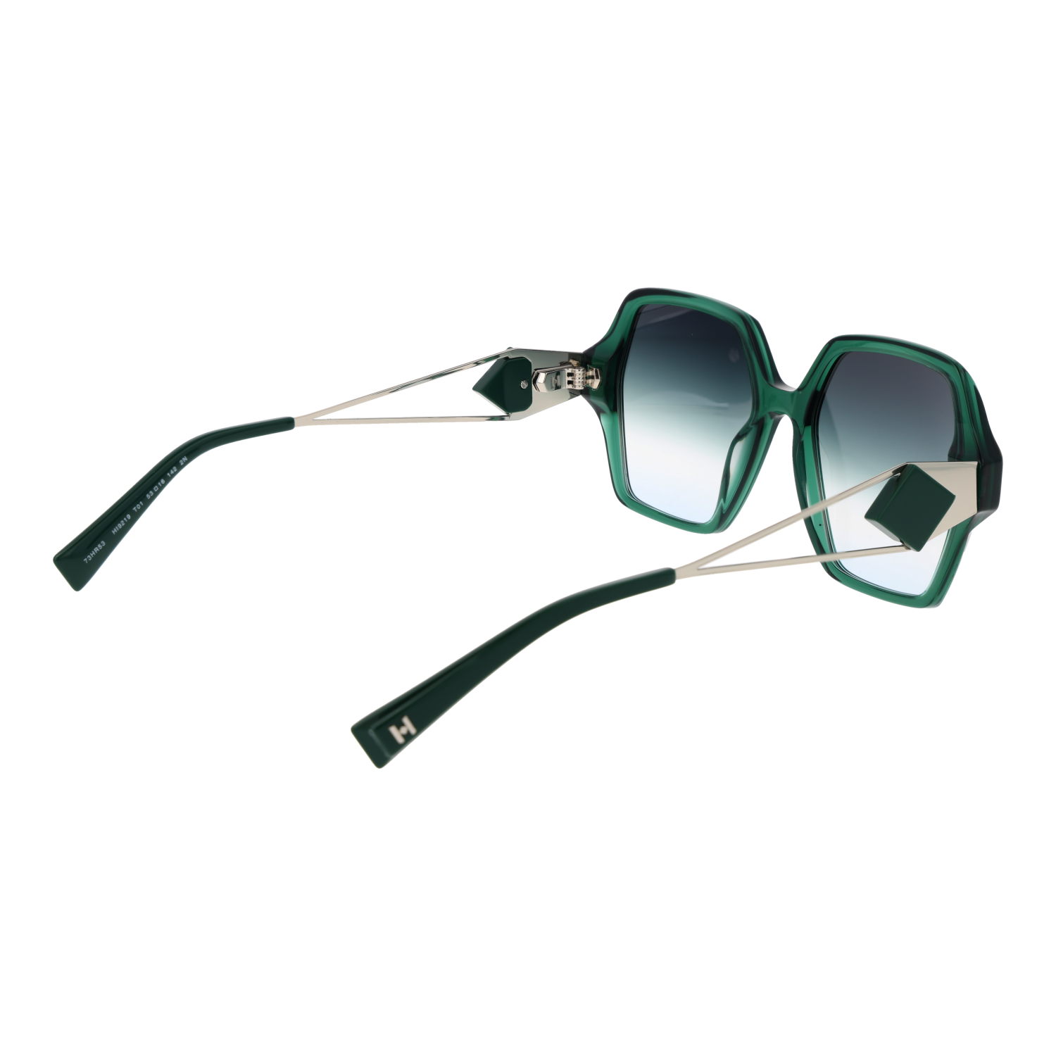 Ana Hickmann HI9219 53T01 rear view – Acetate frame