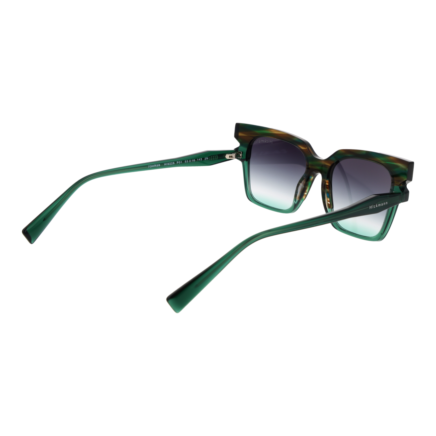 Ana Hickmann HI9228 53P01 rear view – Acetate frame