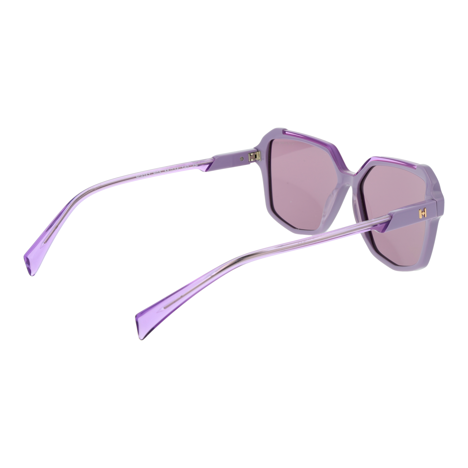 Ana Hickmann HI9257 55P03 rear view – Acetate frame