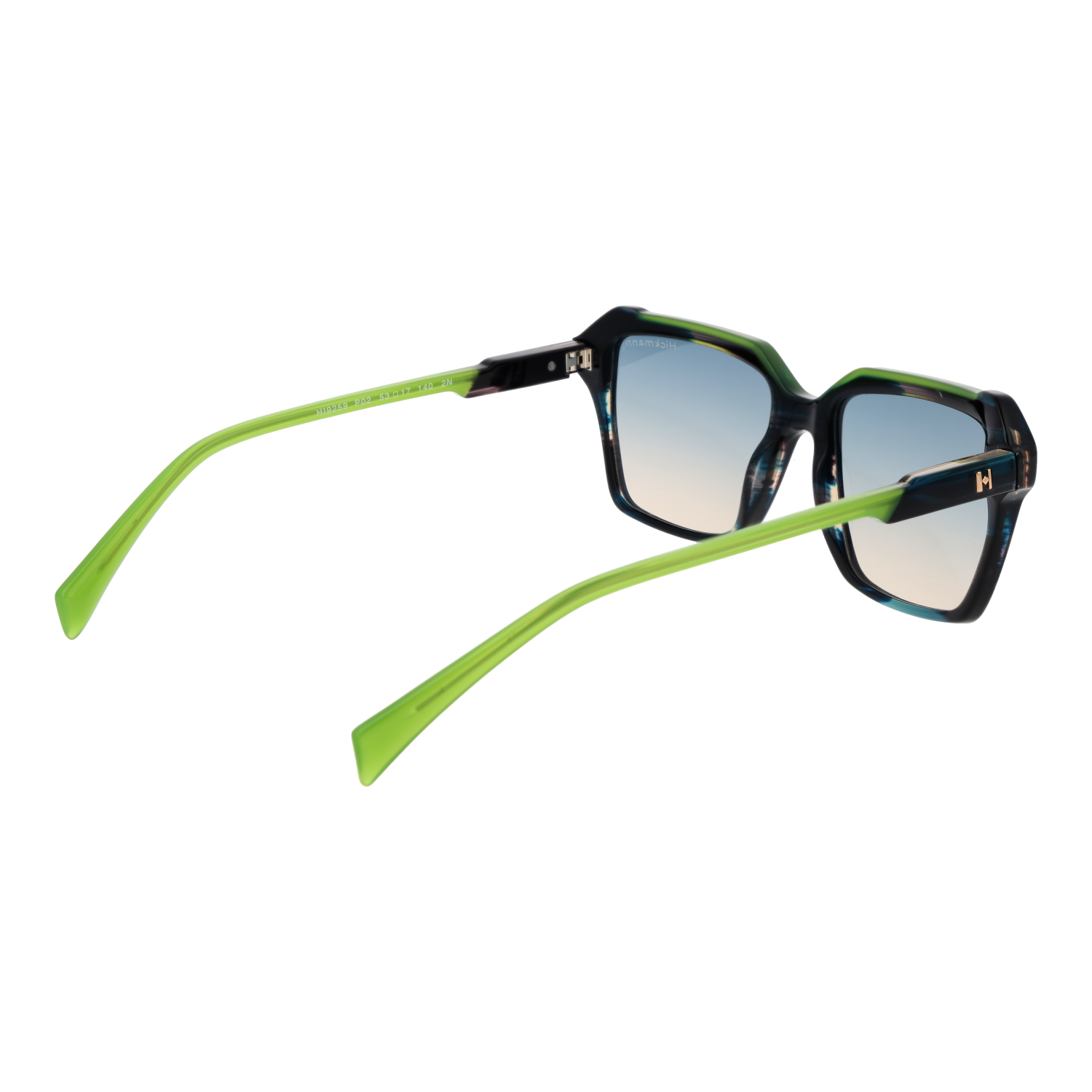 Ana Hickmann HI9259 53P02 rear view – Acetate frame