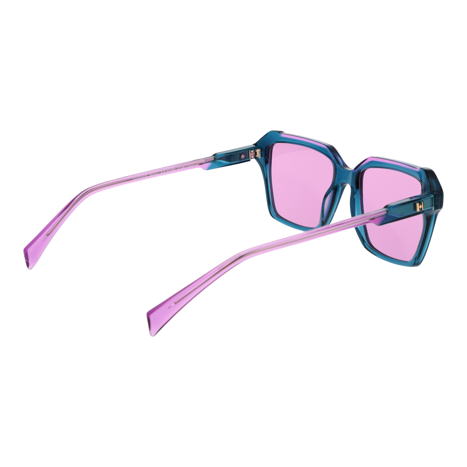 Ana Hickmann HI9259 53P04 rear view – Acetate frame