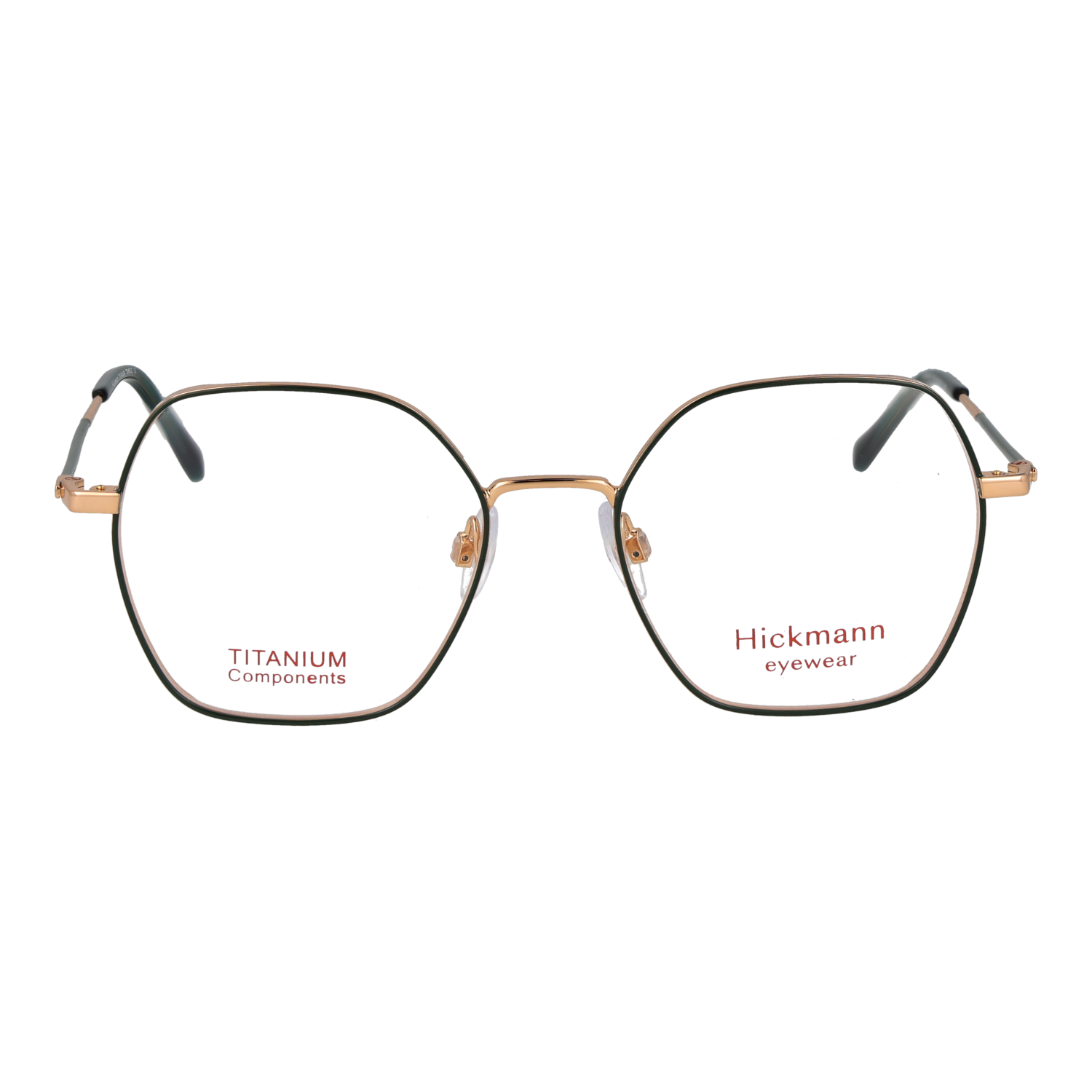 Ana Hickmann HIY1017T 4912A front view – Titanium frame
