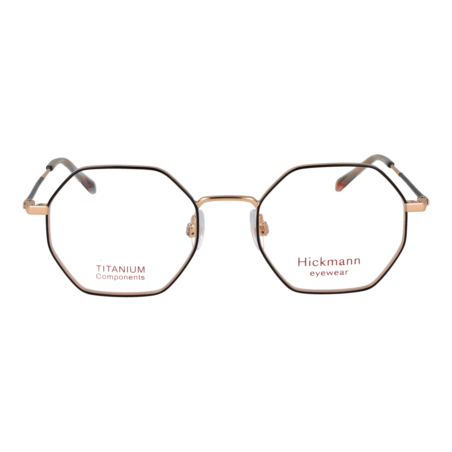 Ana Hickmann HIY1019T 4909A front view – Titanium frame