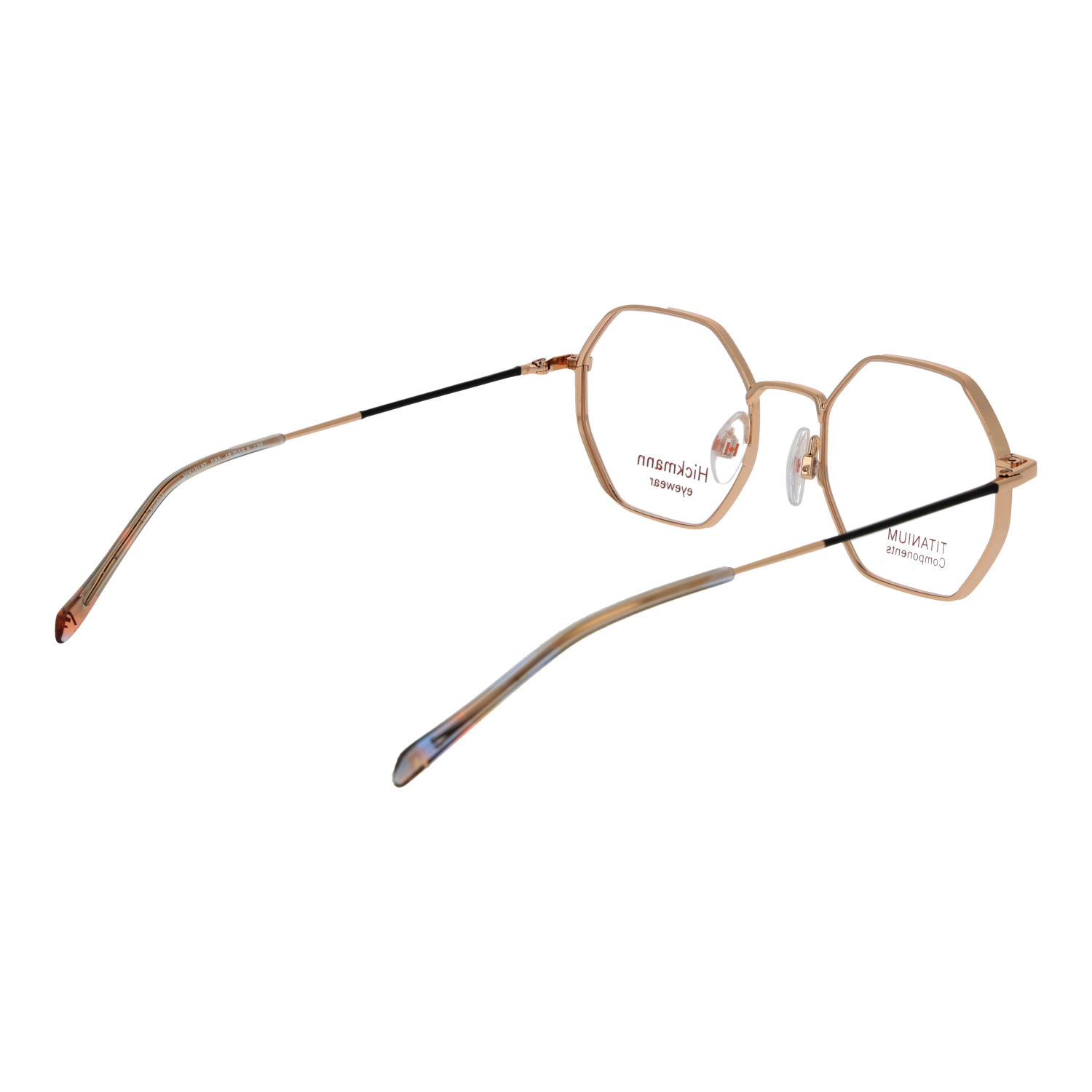 Ana Hickmann HIY1019T 4909A rear view showing hinges