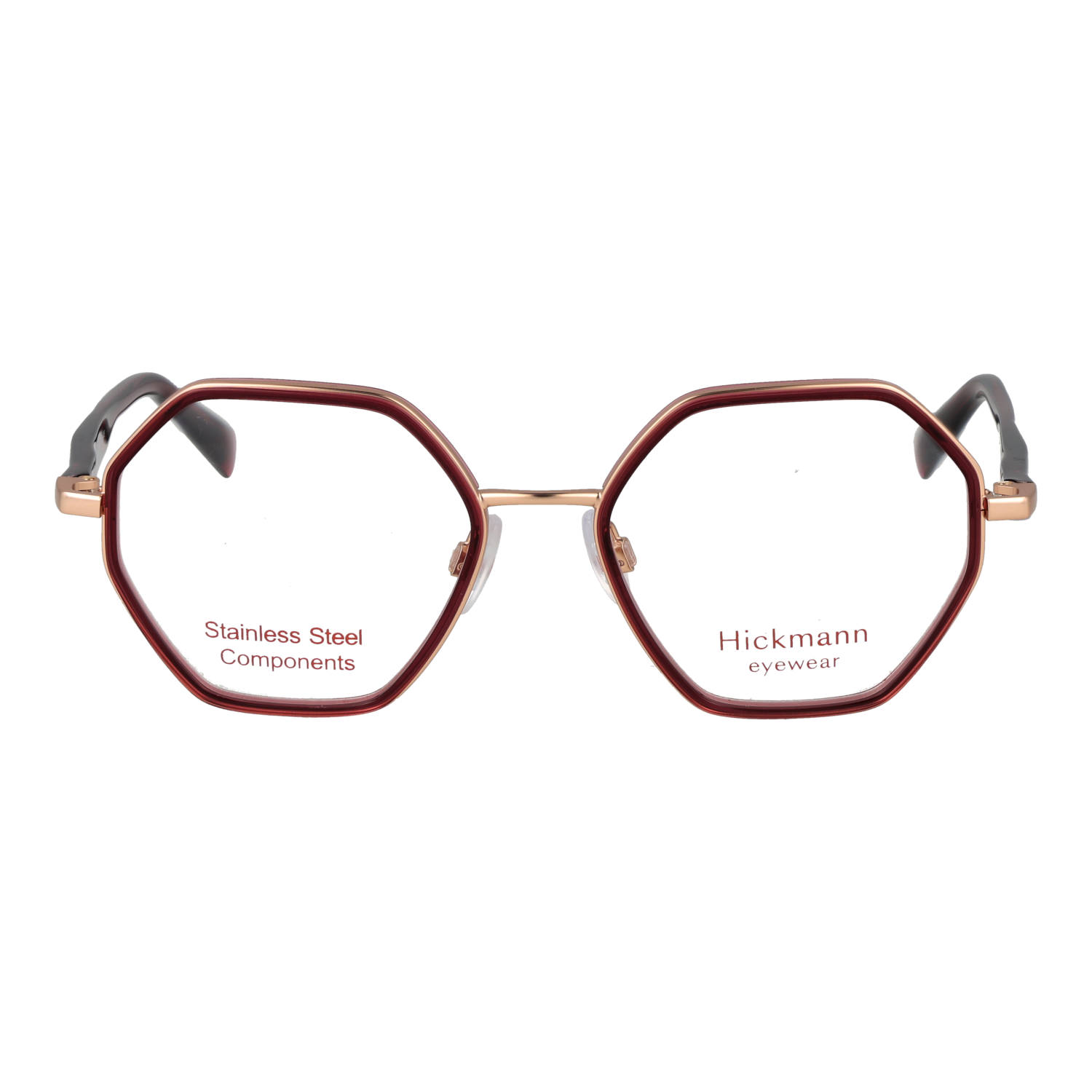 Ana Hickmann HIY1025 50T02 front view – Titanium frame