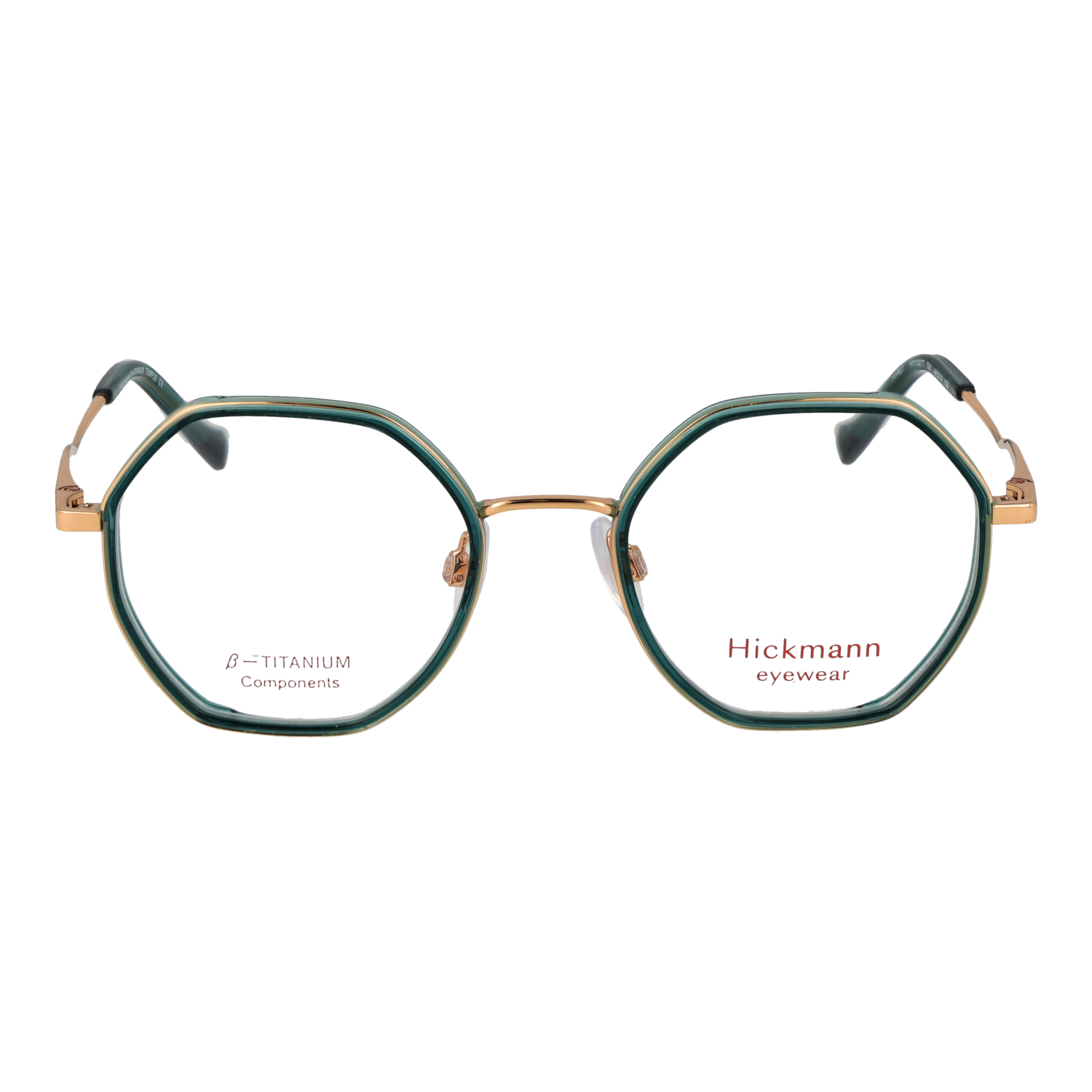 Ana Hickmann HIY1027T 48T01 front view – Titanium frame