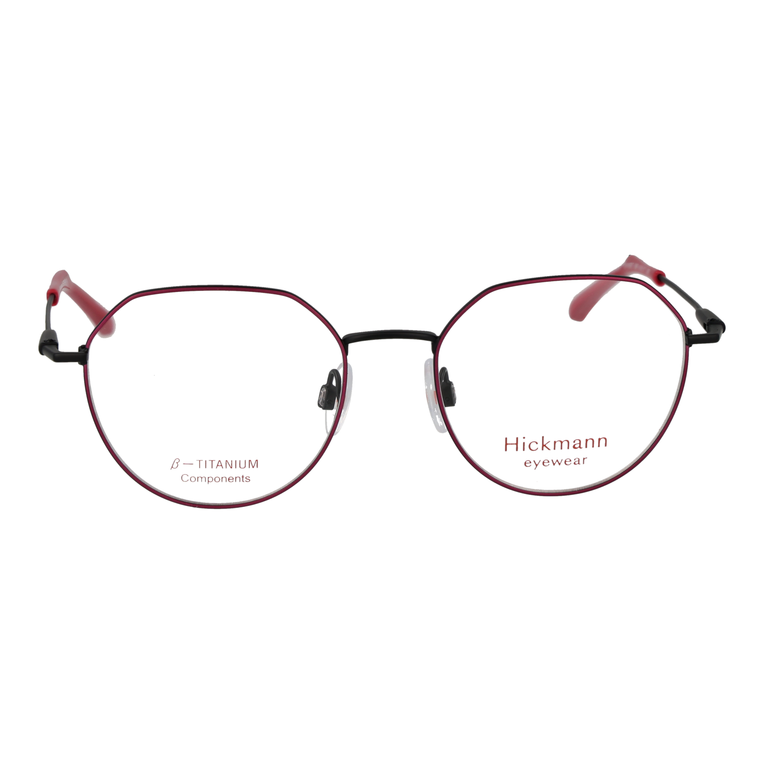 Ana Hickmann HIY1030T 4909B front view – Titanium frame