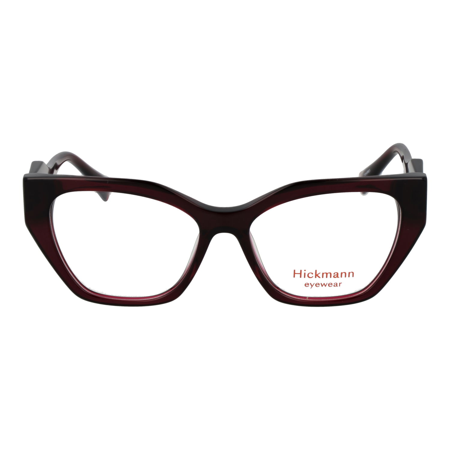 Ana Hickmann HIY6019 51T01 front view – Acetate frame