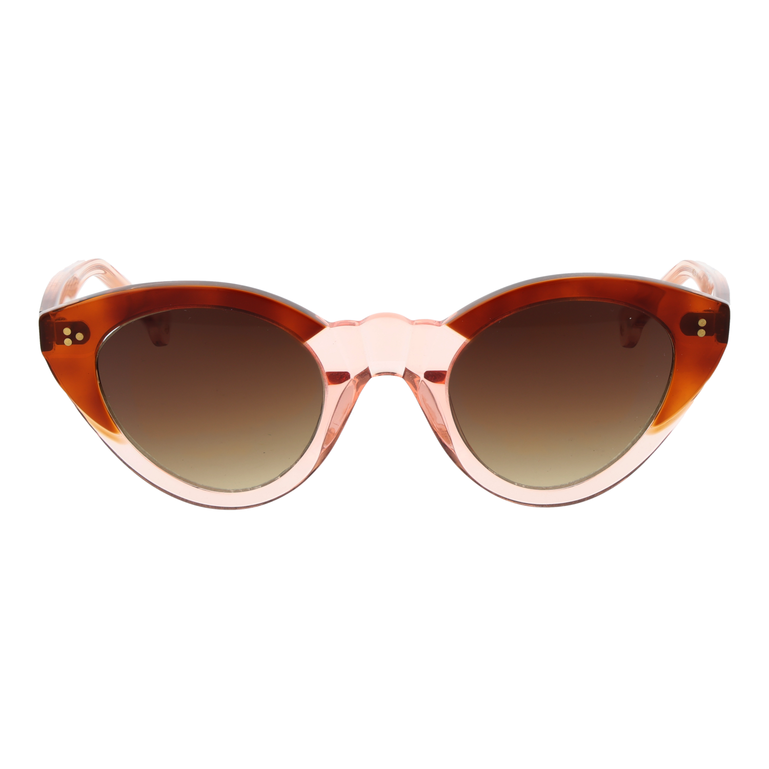 Hally & Son HS865V02S 4802S front view with Brown lenses