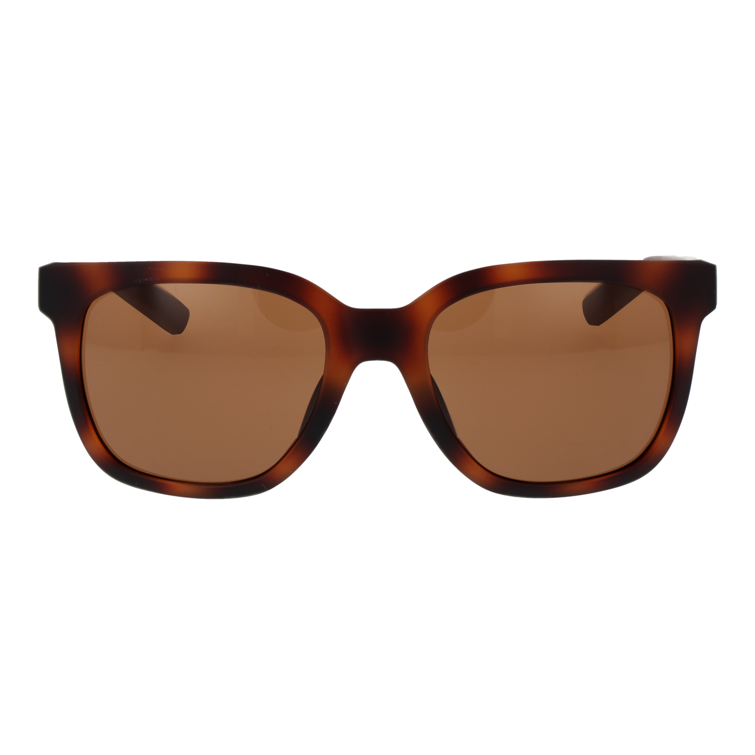 Nike FV2410 54203 front view with Brown lenses