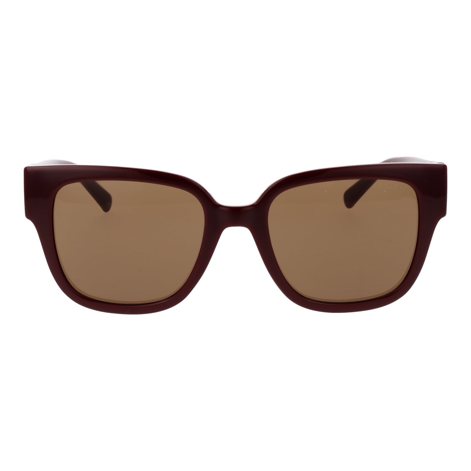 Radley RDS-6556 54172A front view with Brown lenses