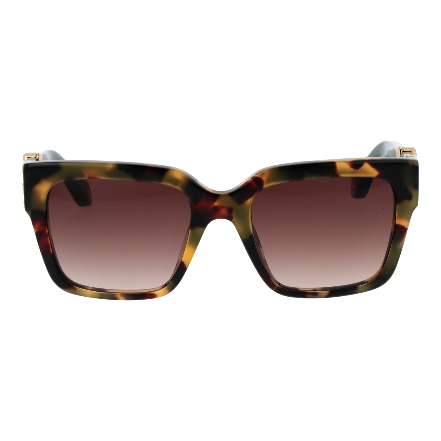 Roberto Cavalli SRC040M 540AGG front view with Brown lenses