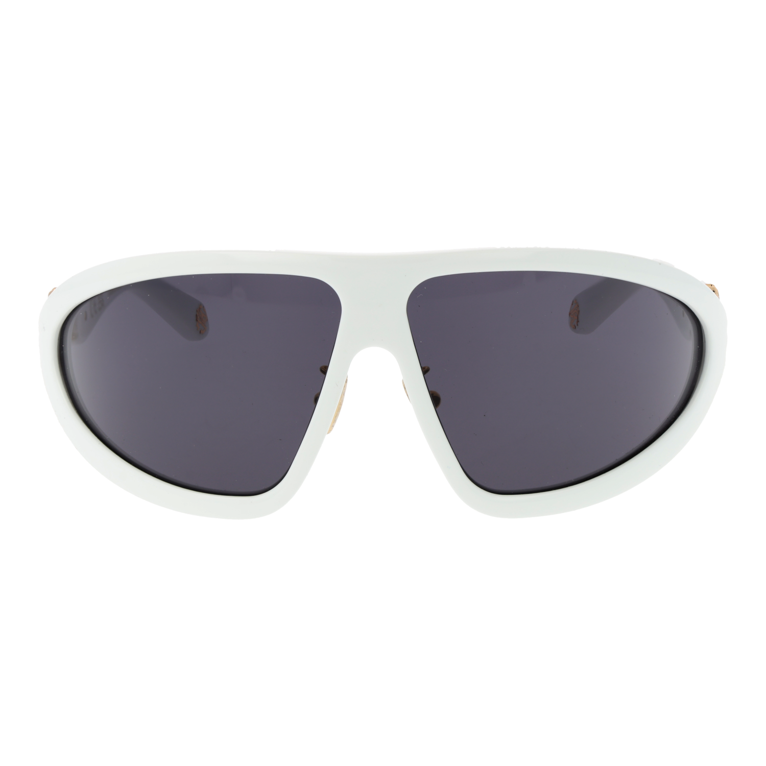 Roberto Cavalli SRC042 7904AO front view with Purple lenses