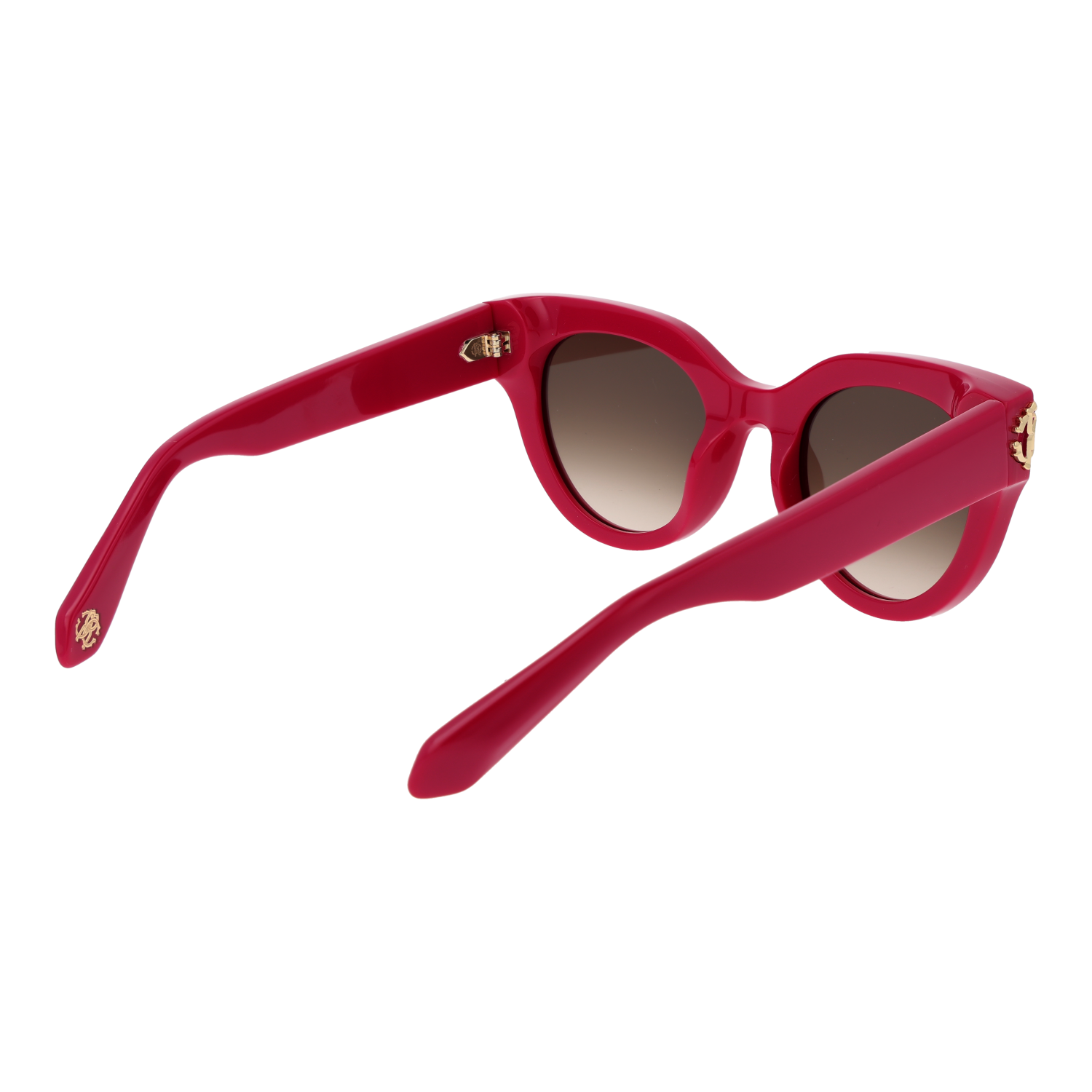 Roberto Cavalli SRC065M 5009M3 rear view – Plastic frame
