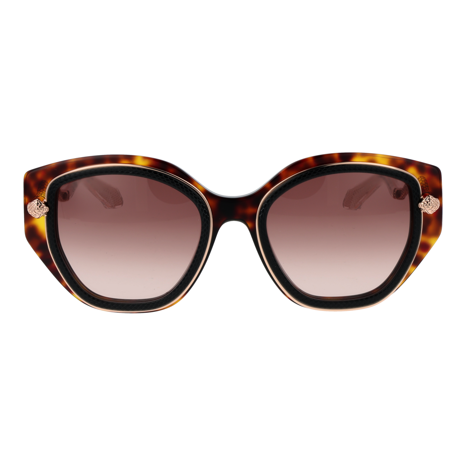 Roberto Cavalli SRC096M 5209TC front view with Brown lenses