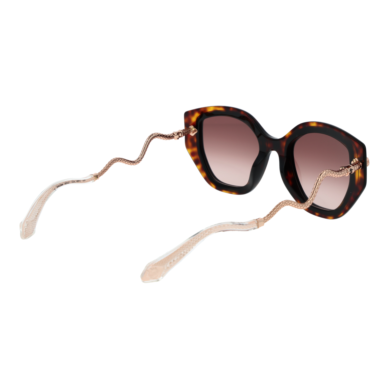 Roberto Cavalli SRC096M 5209TC rear view – Plastic frame