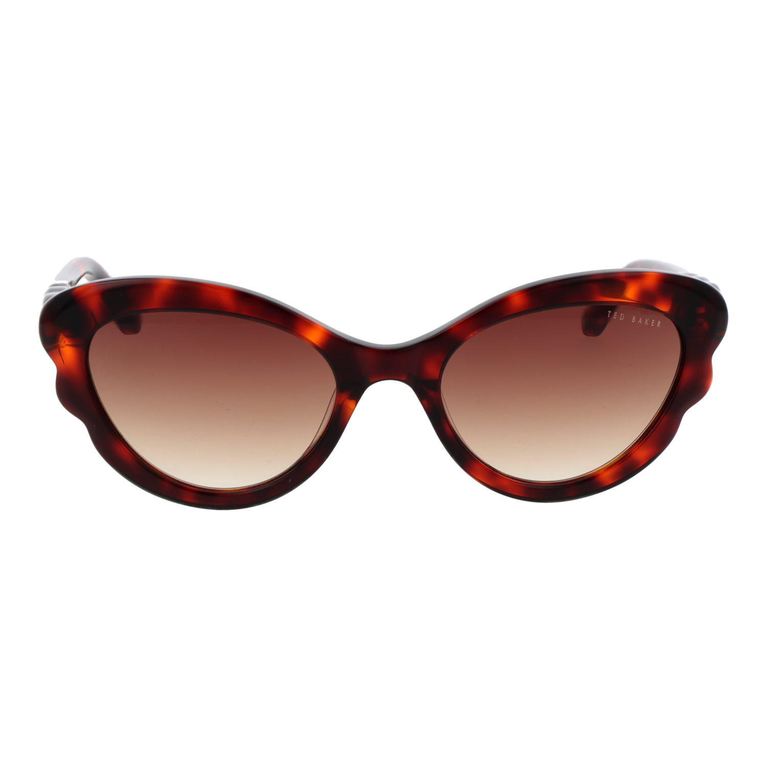 Ted Baker TB1755 53100 front view with Brown lenses