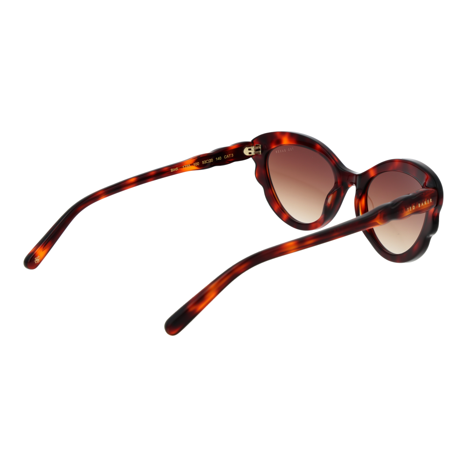 Ted Baker TB1755 53100 rear view – Acetate frame