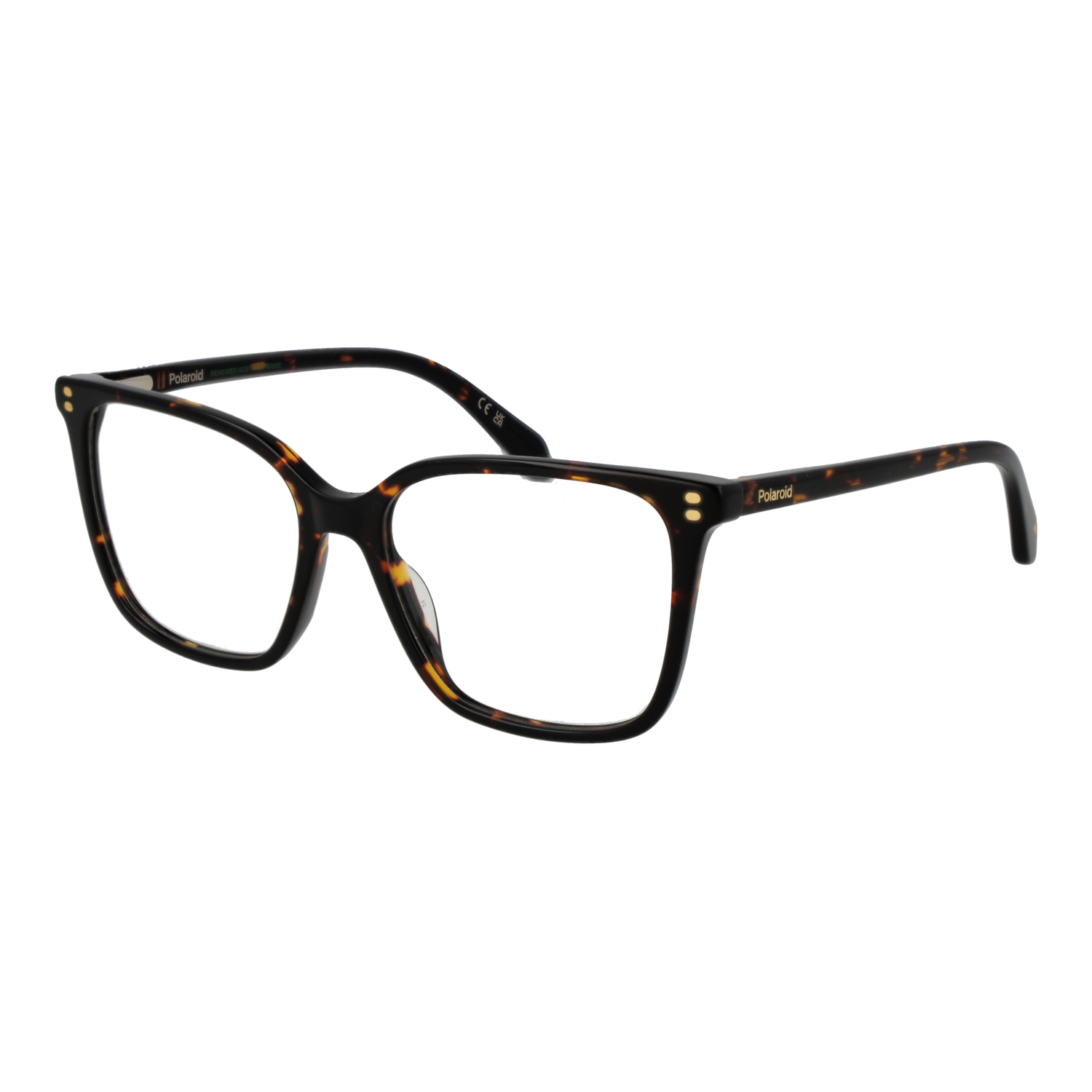 Polaroid PLD D606 5308617 optical frames side view