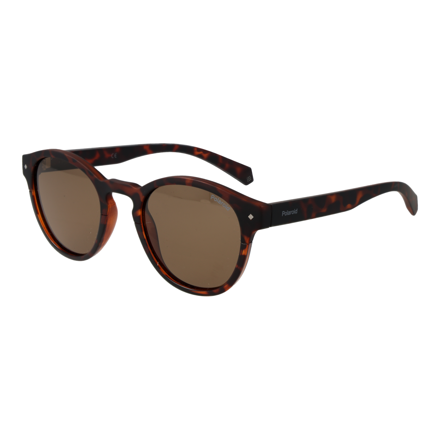 Polaroid PLD 6042/S 49086SP sunglasses side view