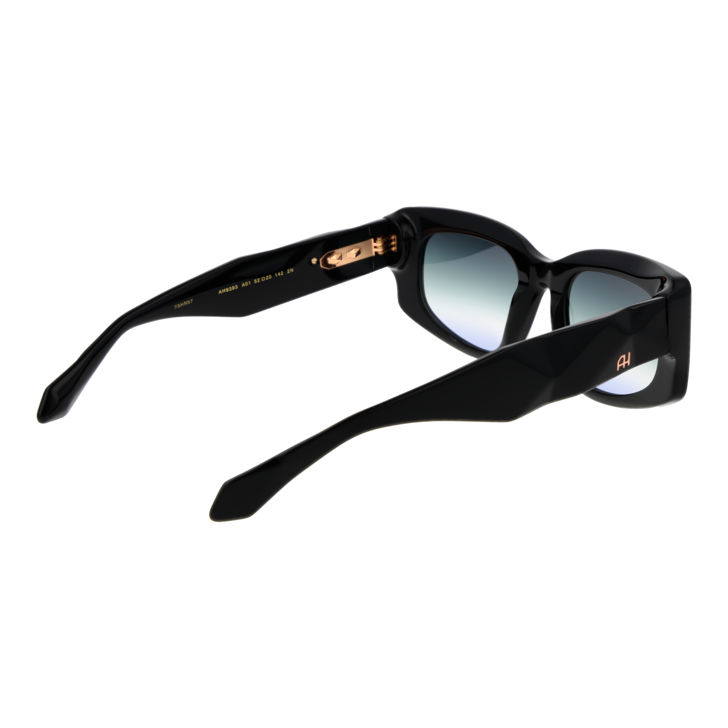 Ana Hickmann AH9393 52A01 rear view – Acetate frame