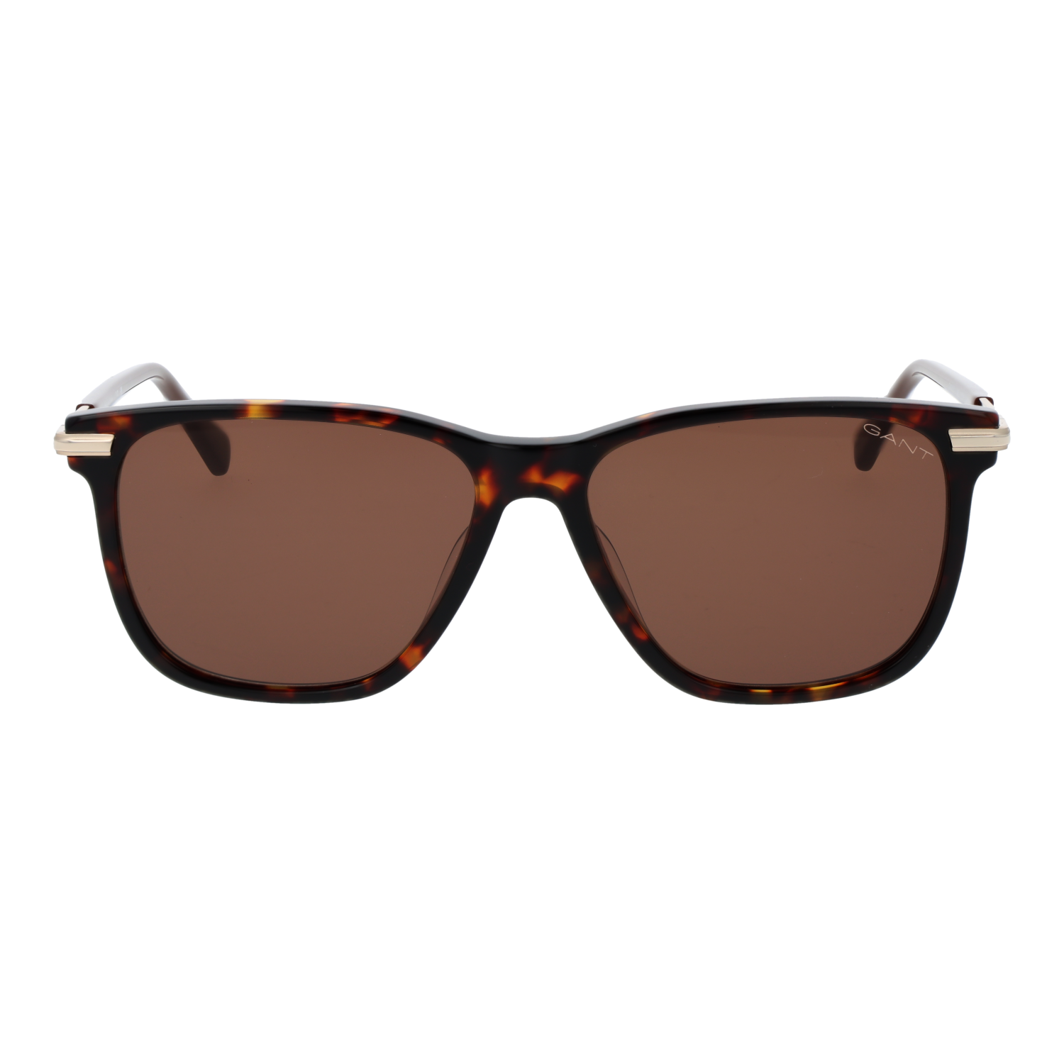 Gant GA00005 5552E front view with Brown lenses