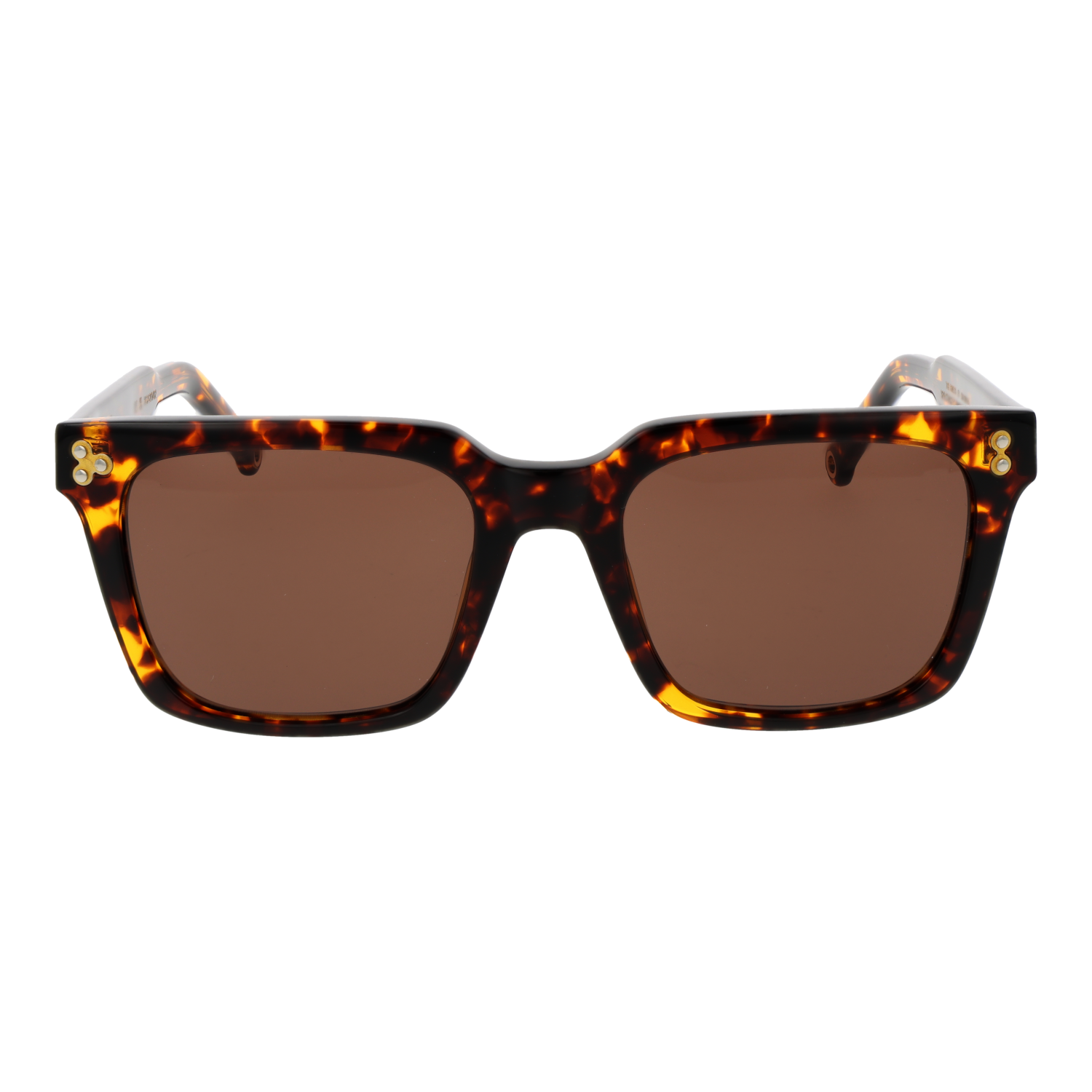 Hally & Son HSA20V 5302S front view with Brown lenses