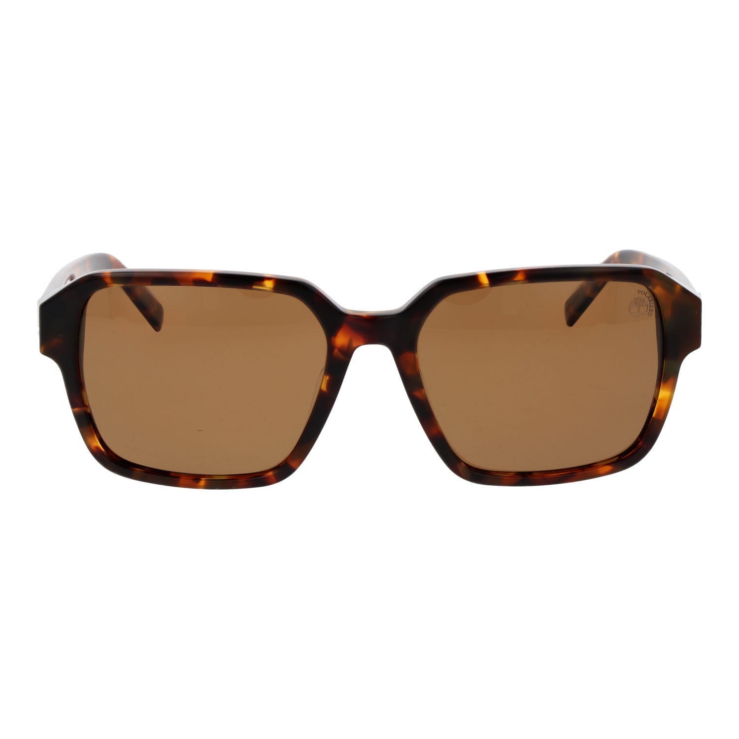 Timberland TB00043 5654H front view with Brown lenses