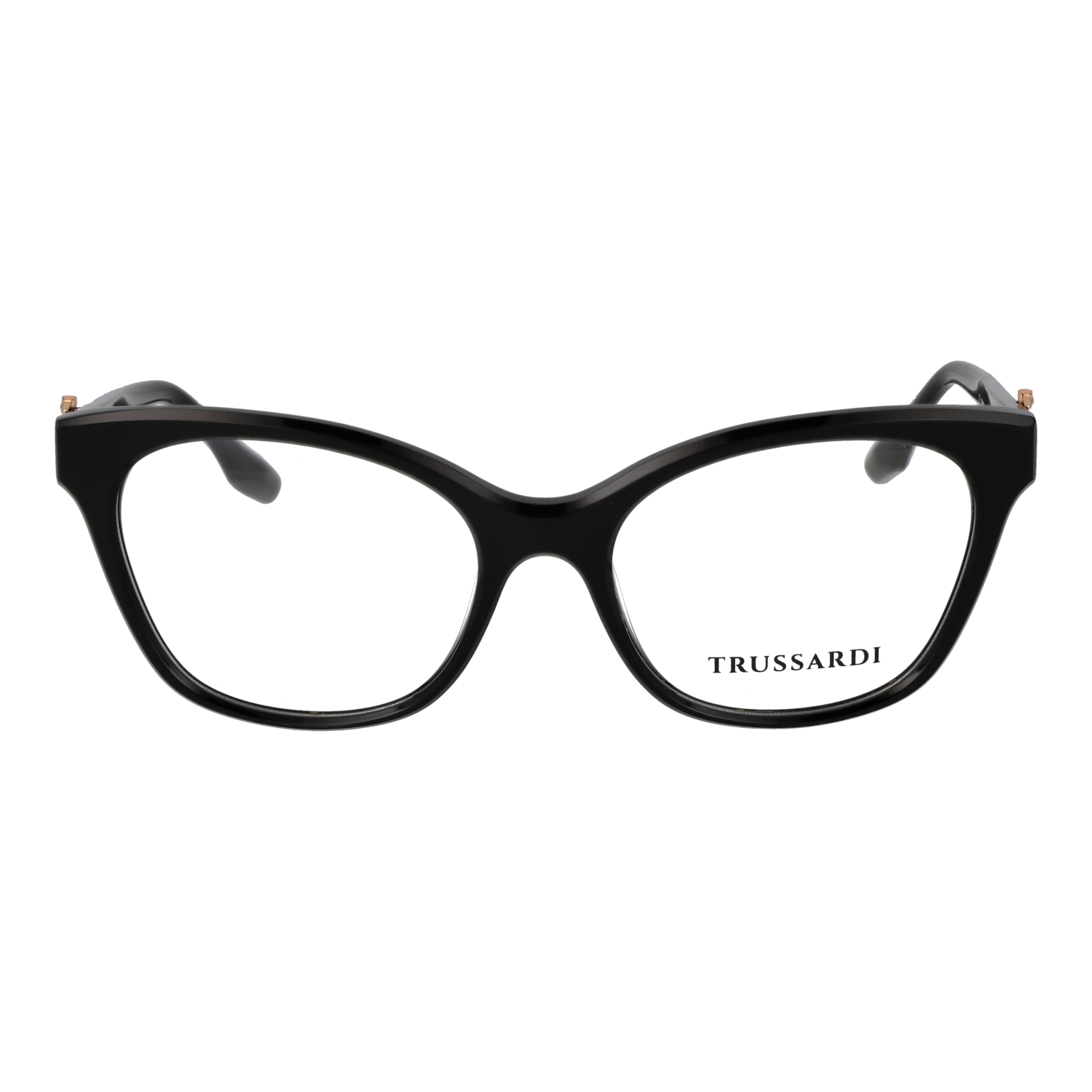Trussardi TSW6028 55A01 front view – Acetate frame