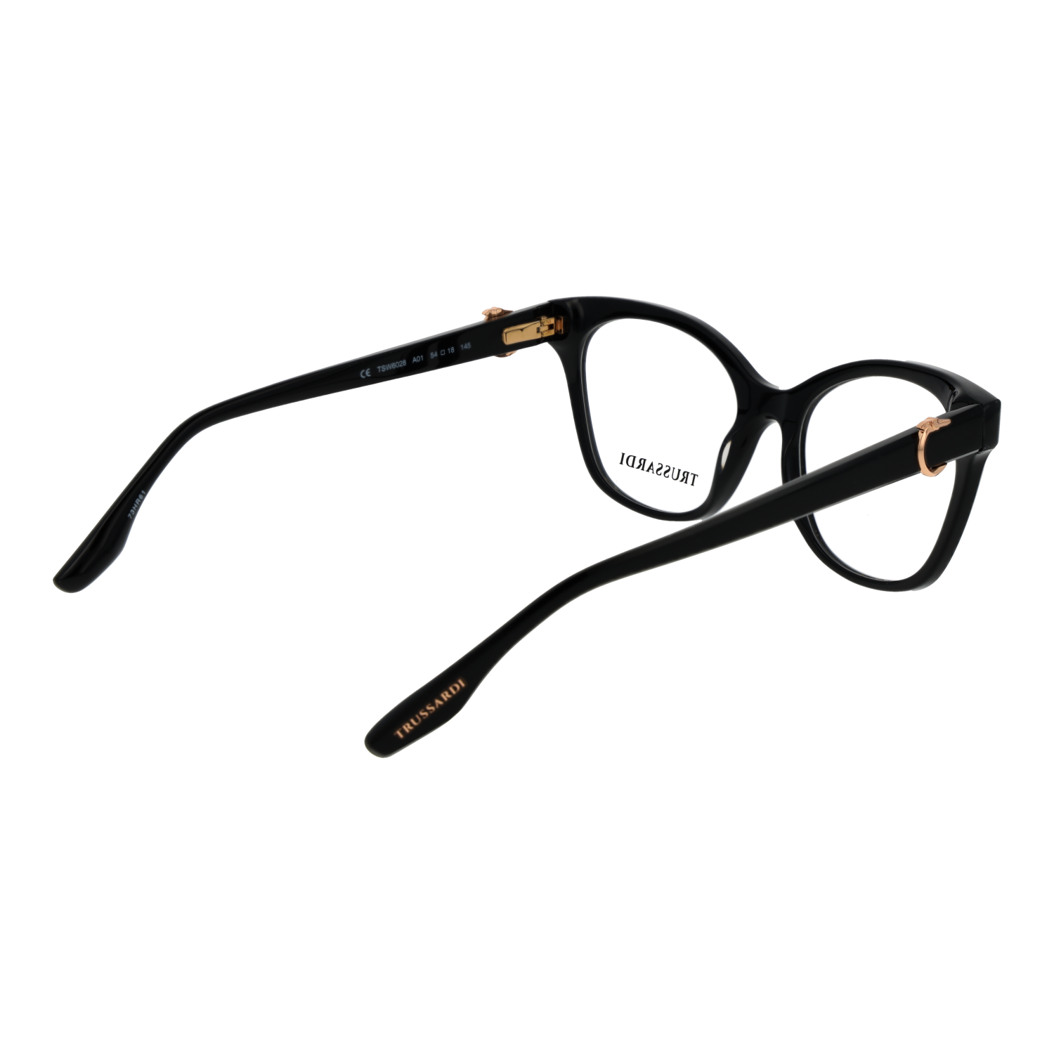 Trussardi TSW6028 55A01 rear view showing hinges