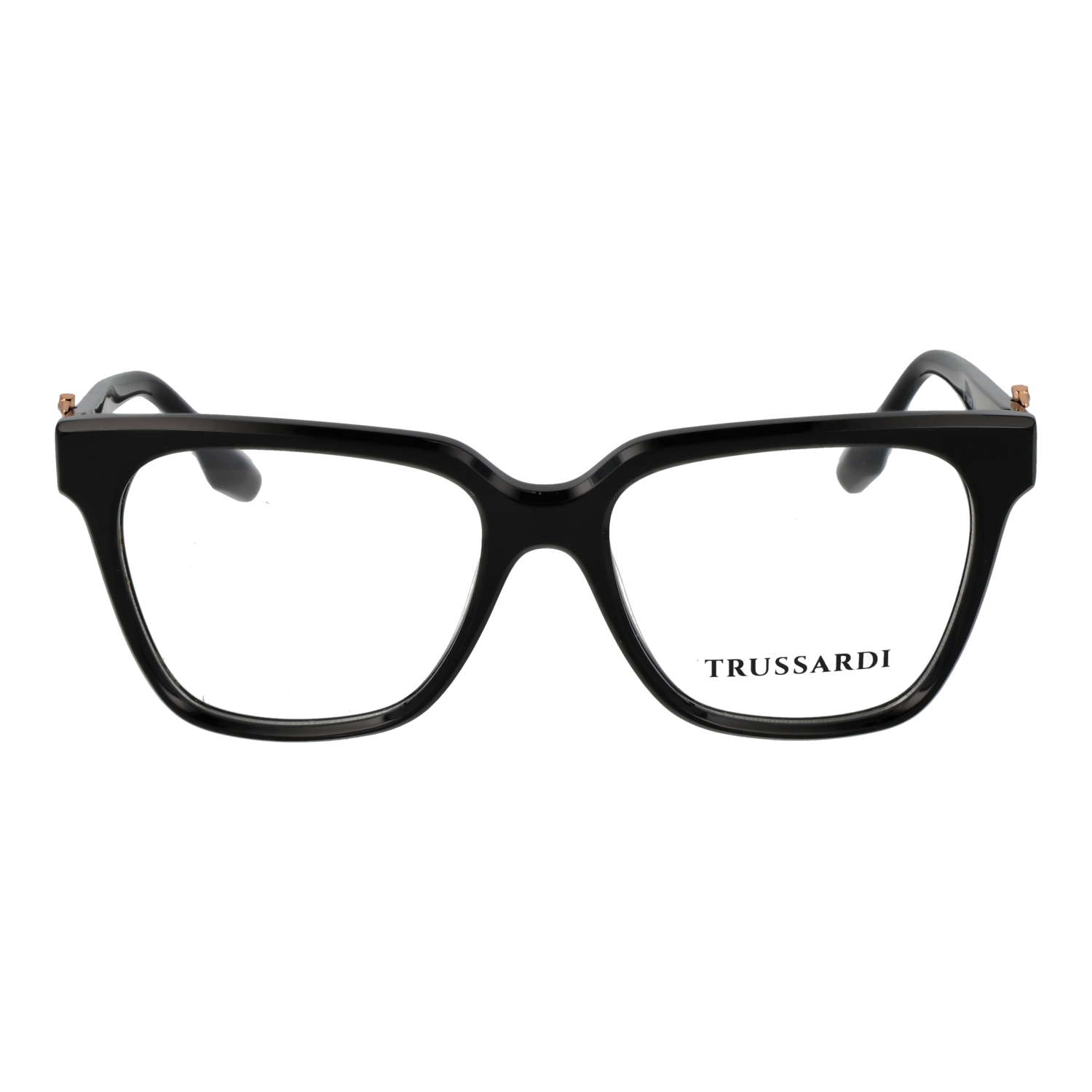 Trussardi TSW6029 52A01 front view – Acetate frame
