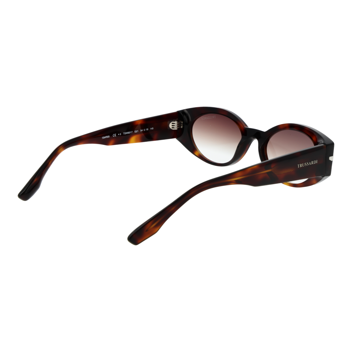 Trussardi TSW9017 54G21 rear view – Acetate frame