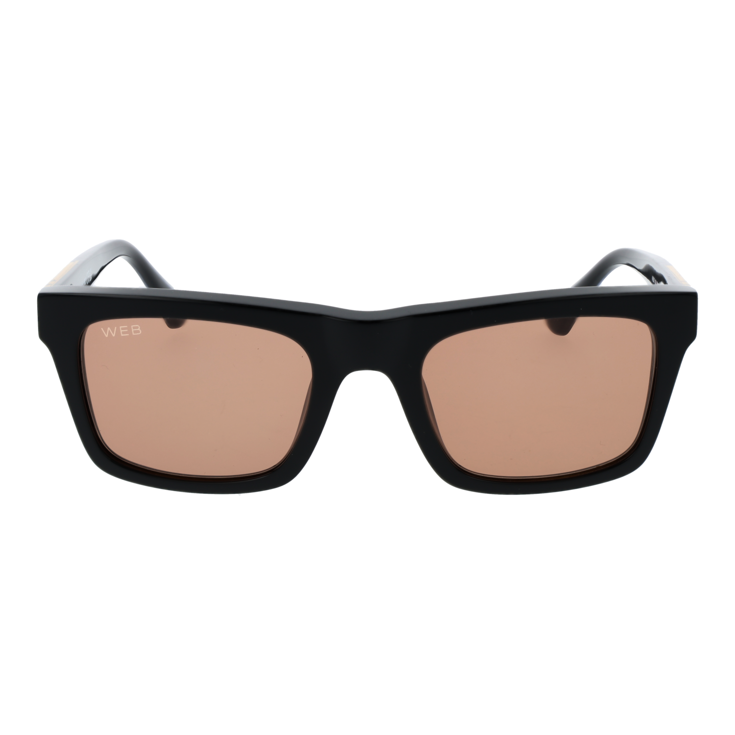 Web WE0362 5205J front view with Brown lenses