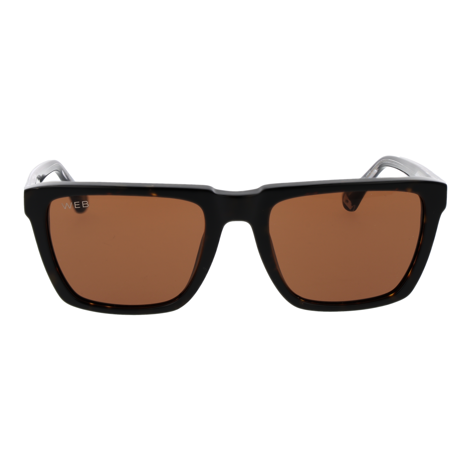 Web WE0379 5556E front view with Brown lenses