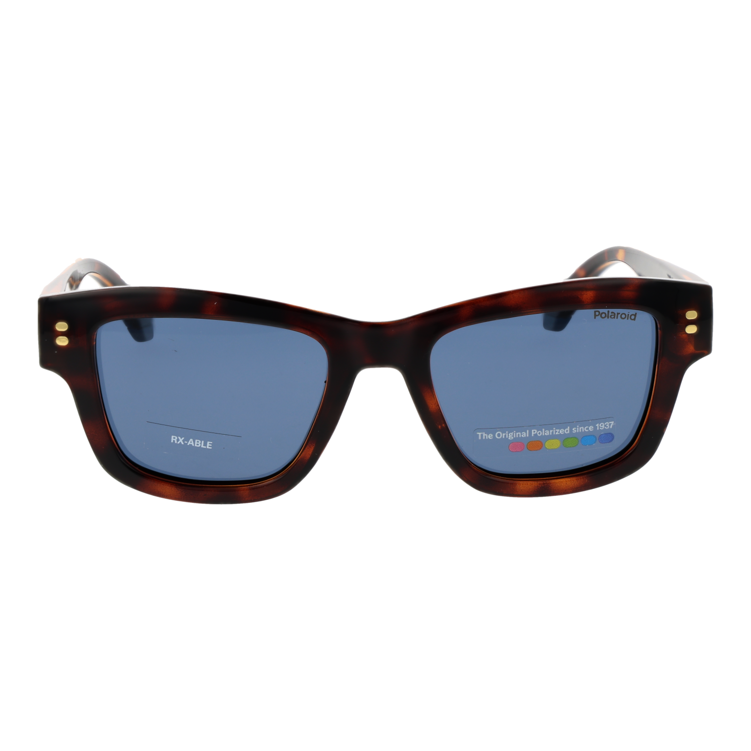 Polaroid PLD 6256/S/X 49086C3 front view with Blue lenses