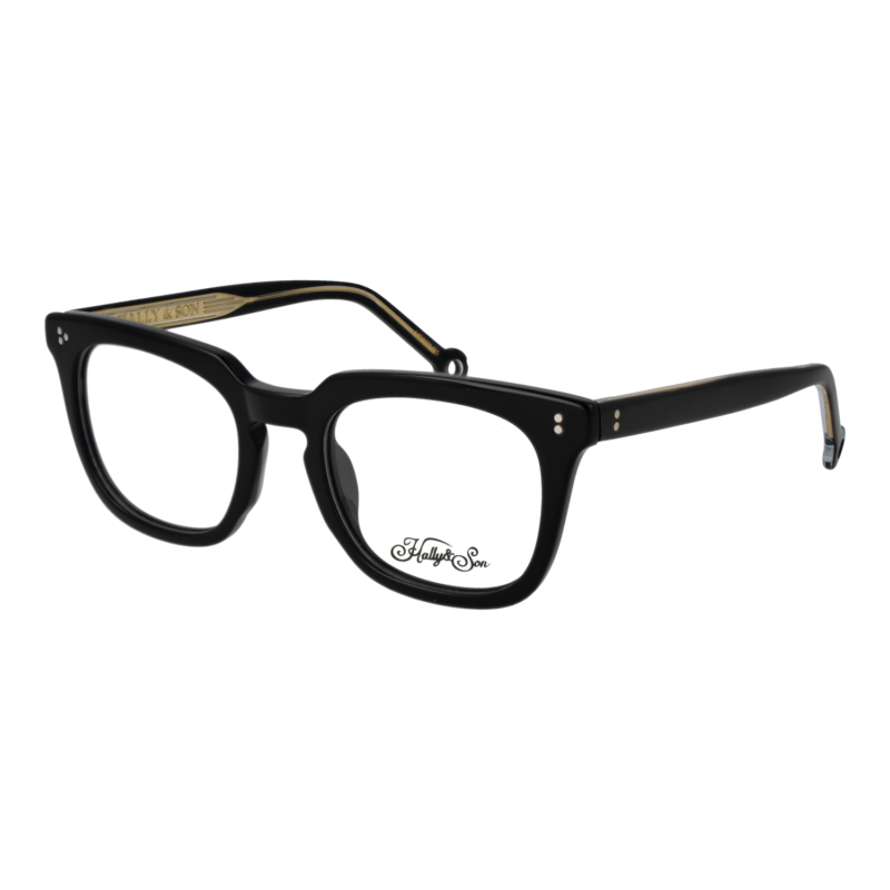 Hally & Son HS833V01 5101 optical frames side view