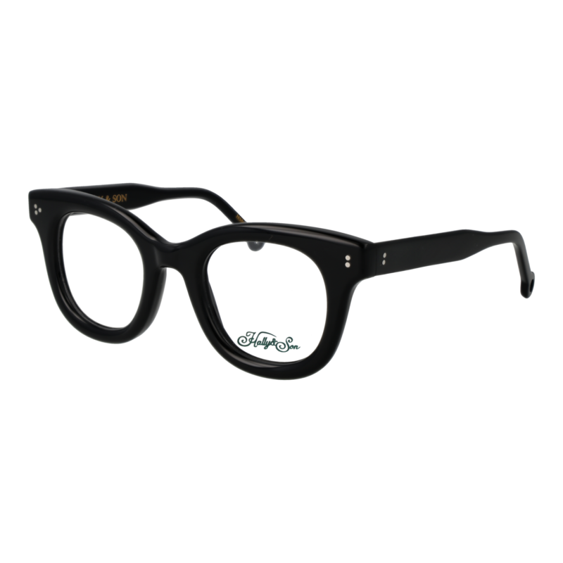 Hally & Son HS861V01 4601 optical frames side view