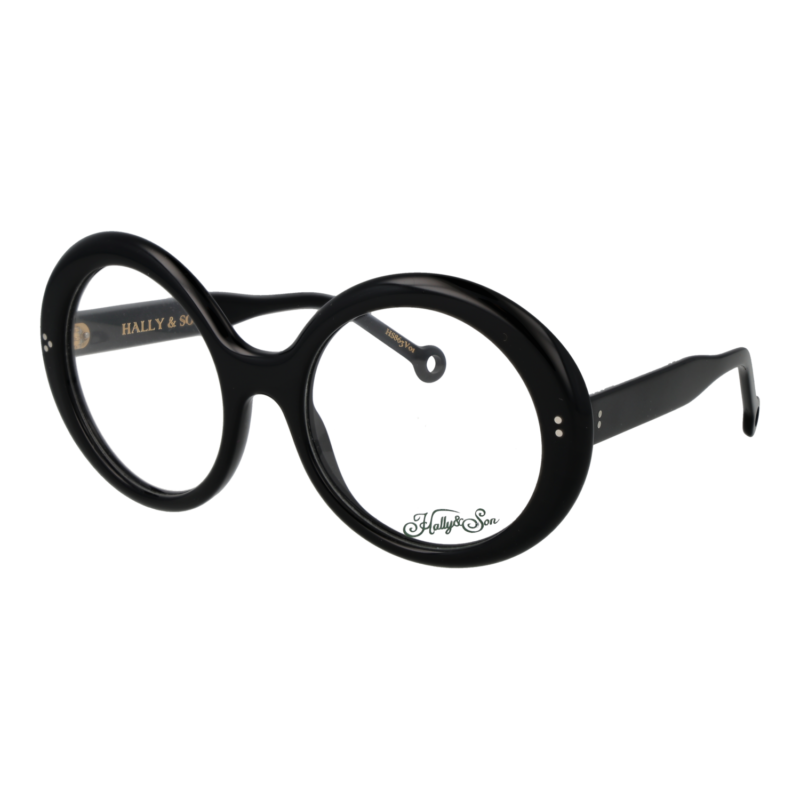 Hally & Son HS863V01 5501 optical frames side view