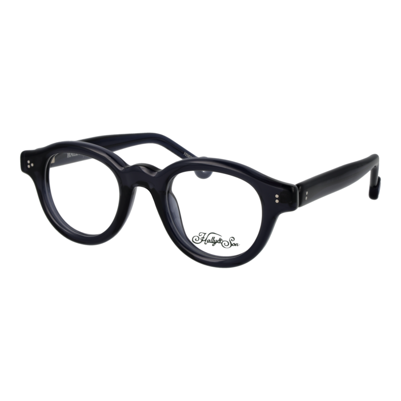 Hally & Son HS876V04 4704 optical frames side view