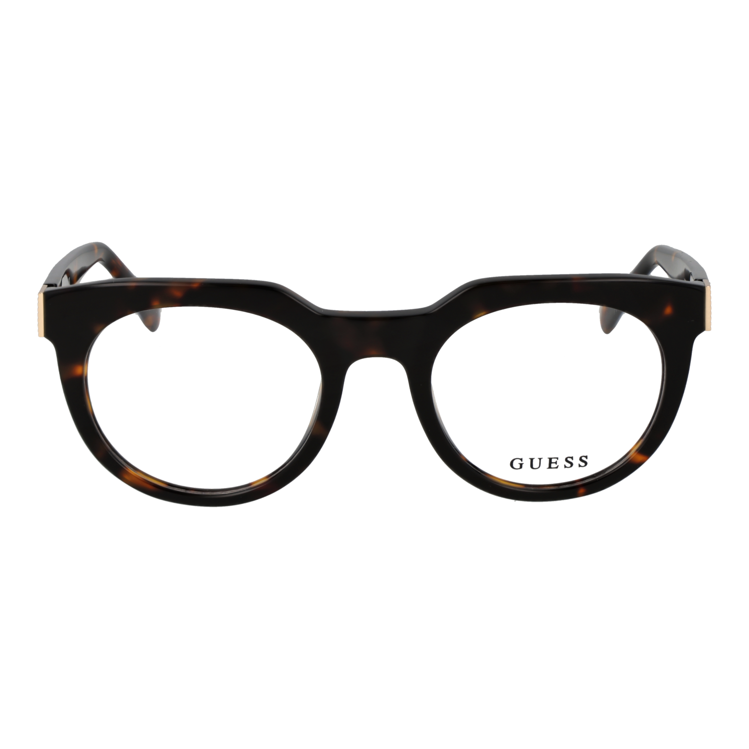Guess GU50241 49052 front view – Acetate frame
