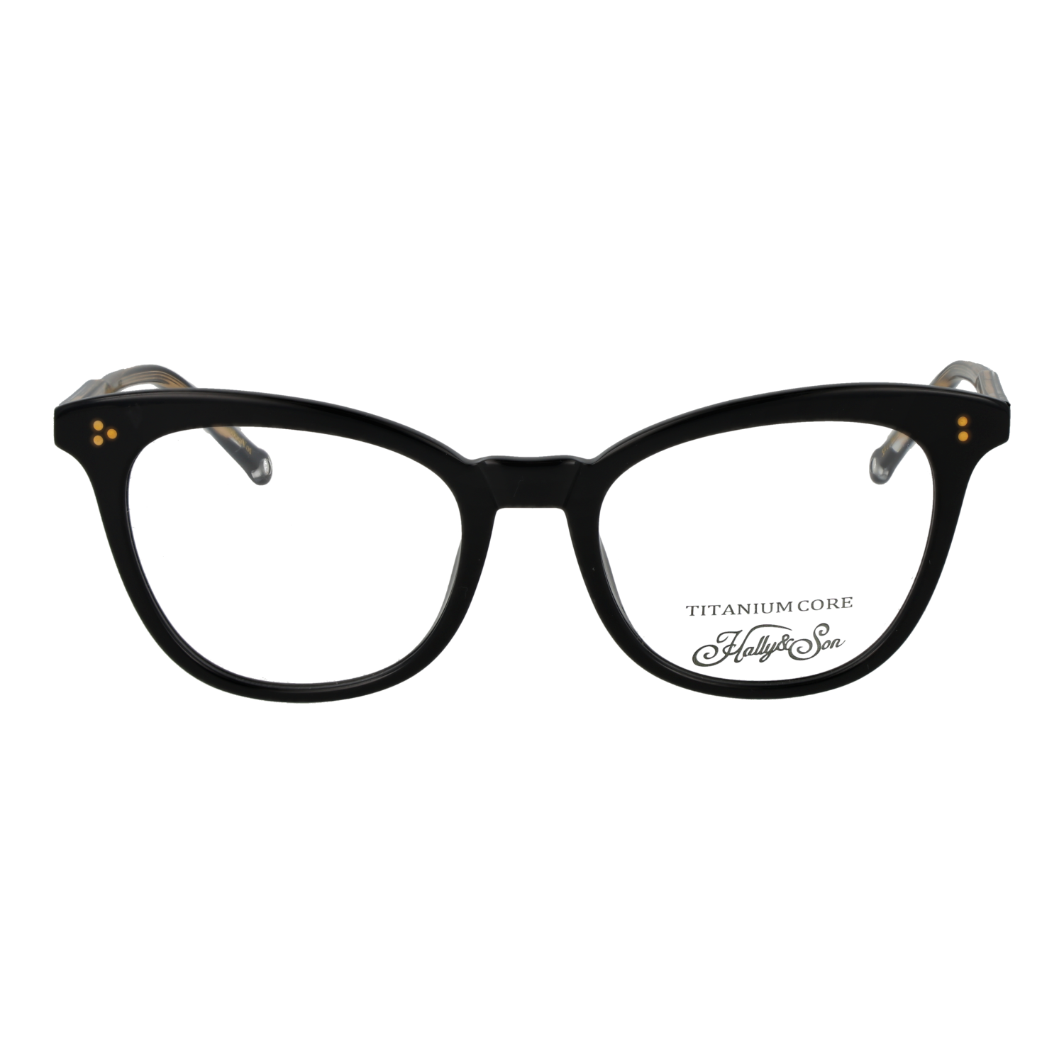 Hally & Son HS860V01 5101 front view – Titanium frame