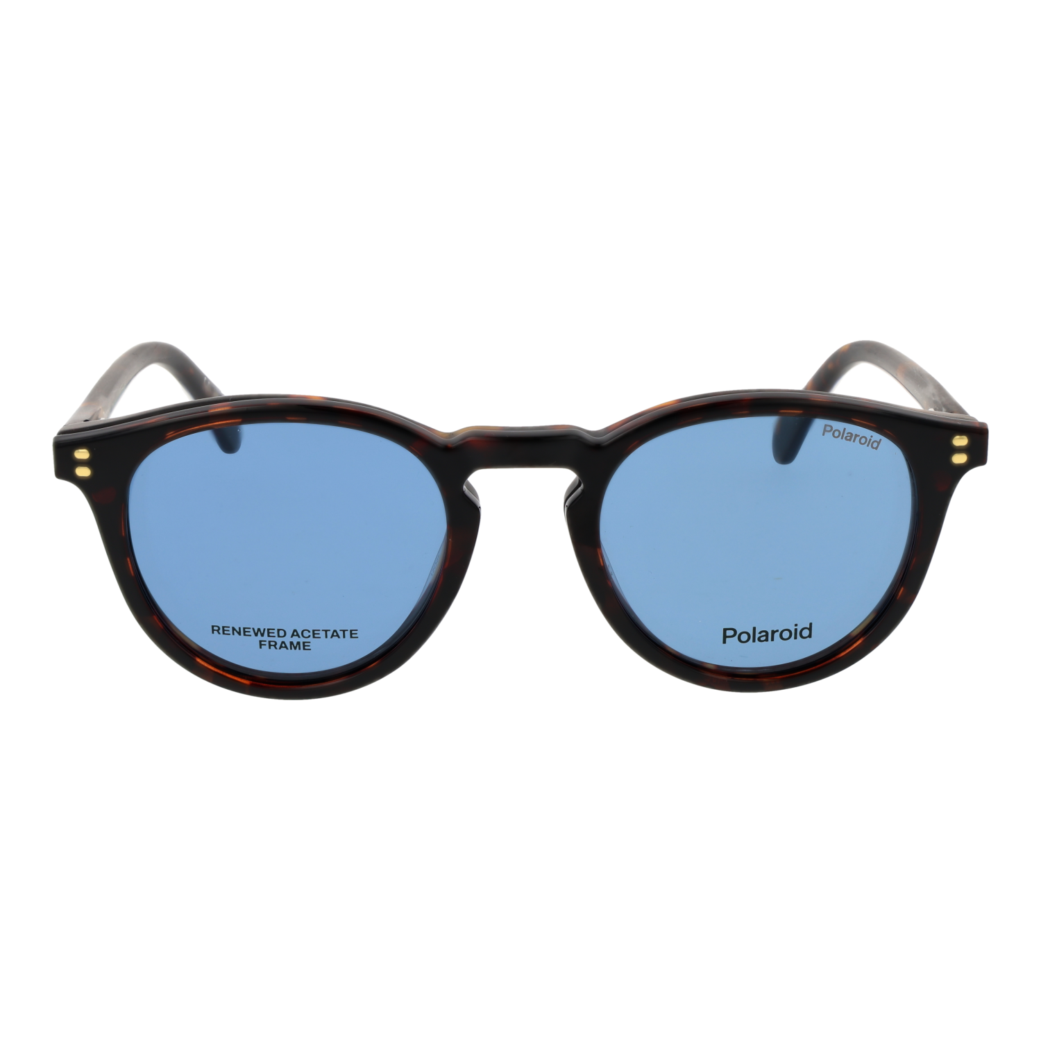 Polaroid Panto Men Optical Frames – Model PLD D638/C 49N9P21 - Image 5