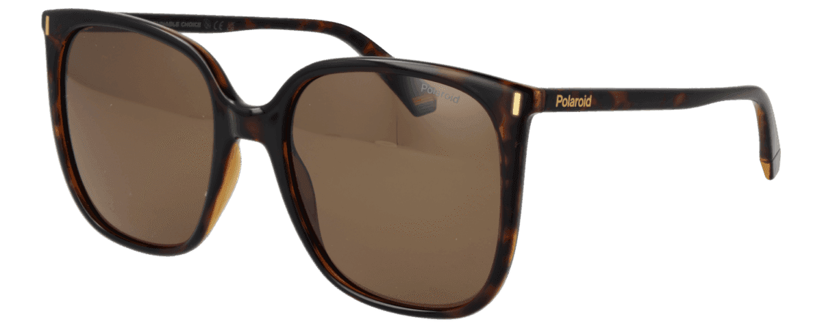 Sunglasses illustrating a comparison of polarised and ordinary lenses