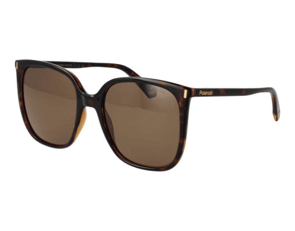 Sunglasses illustrating a comparison of polarised and ordinary lenses